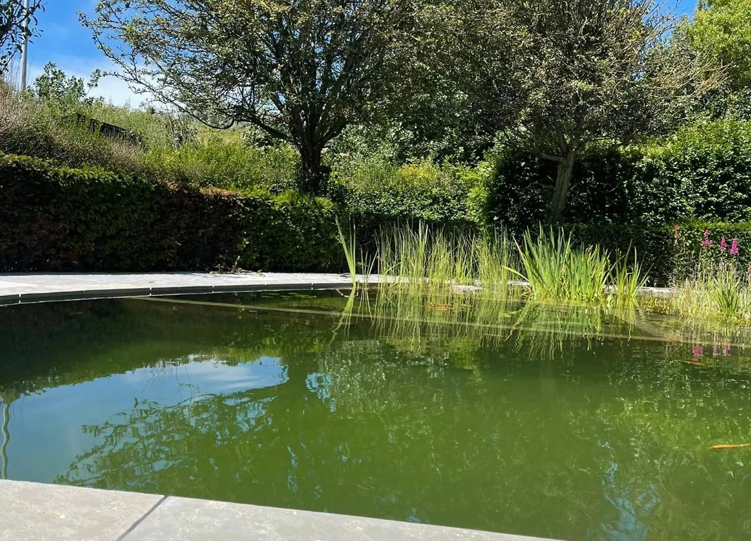 Dom wakacyjny Villa In Front Of The Sea With Natural Swimming Pond Ostenda