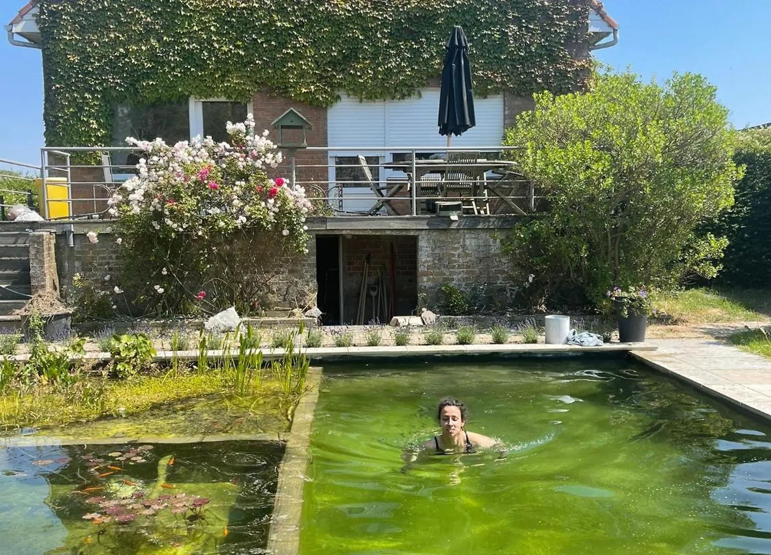 Villa In Front Of The Sea With Natural Swimming Pond Ostenda 0*,